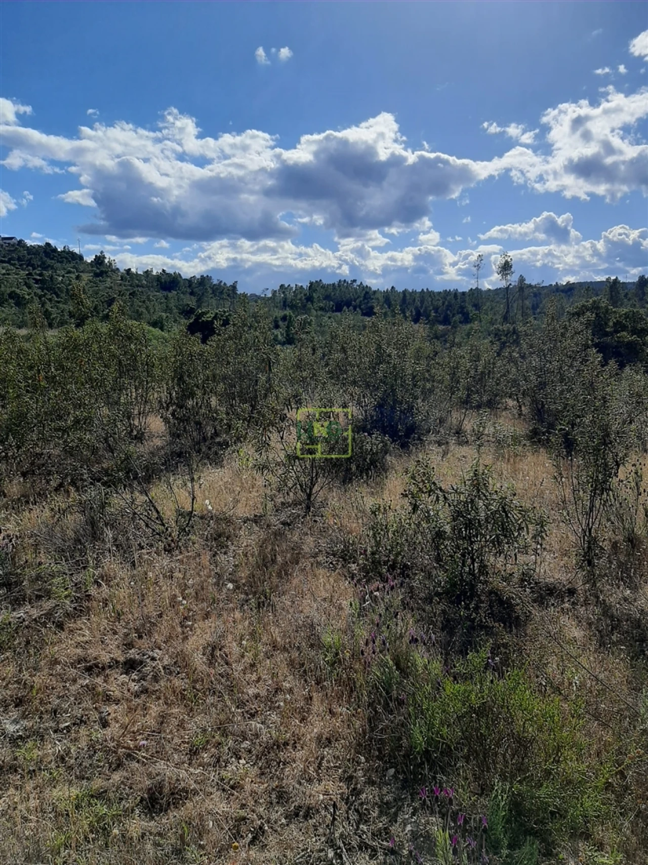 Terreno para Venda em Sarzedas Foto 12