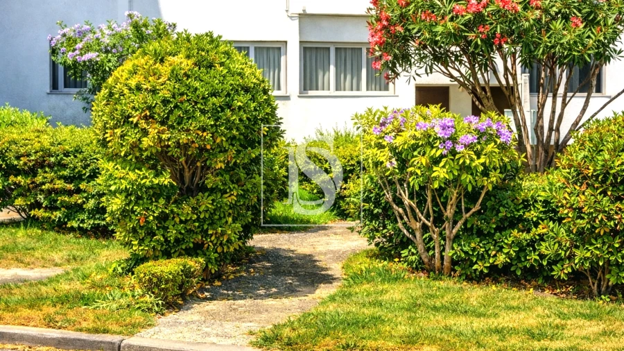 Apartamento T3 para Venda em Buarcos Foto 32
