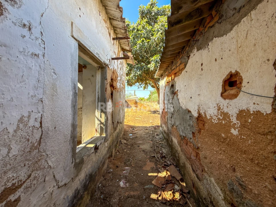 Moradia T4 para Venda em Riachos Foto 5