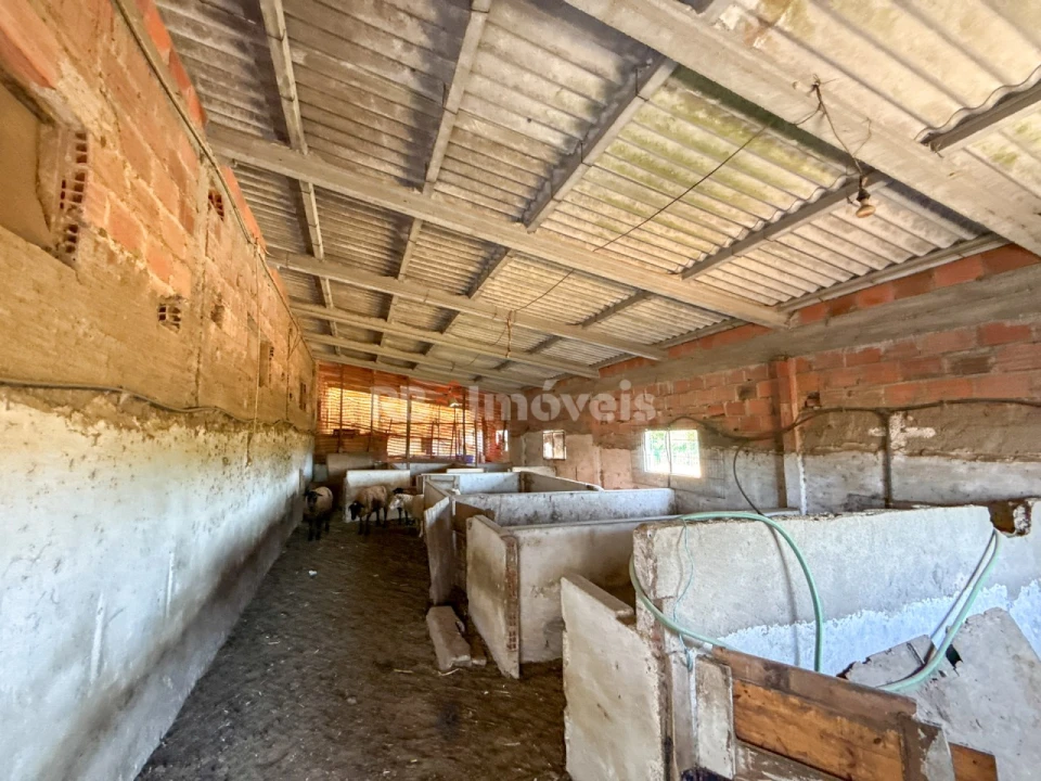 Quinta T3 para Venda em Paialvo Foto 62
