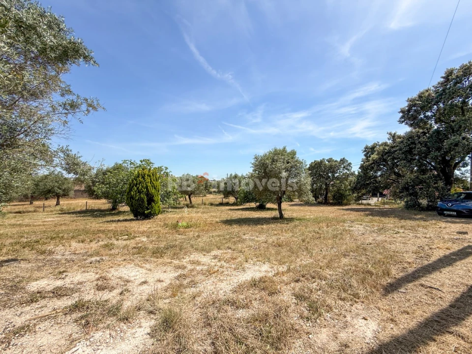 Quinta T3 para Venda em Paialvo Foto 64