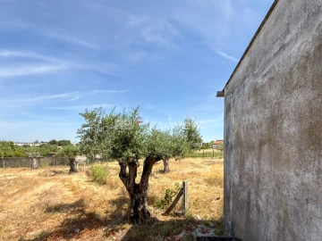 Quinta T3 para Venda em Paialvo