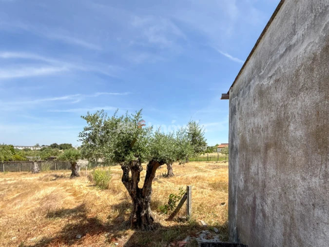 Quinta T3 para Venda em Paialvo Foto 61