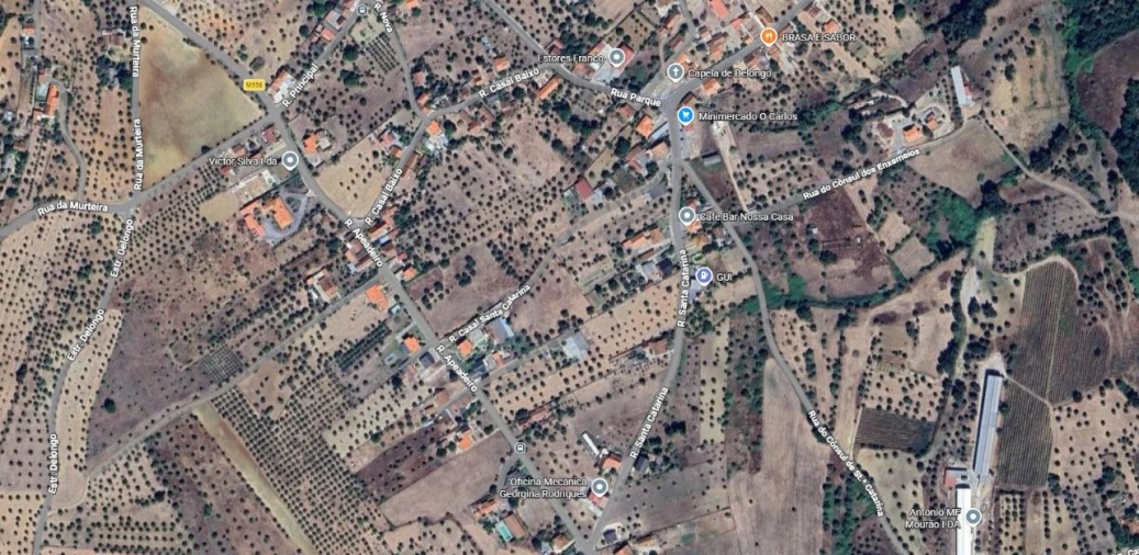 Quinta T3 para Venda em Paialvo Planta 1
