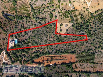 Moradia T3 para Venda em Silves