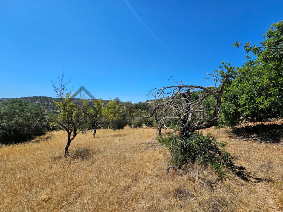 Terreno para Venda em Loule (São Sebastião) Foto 1