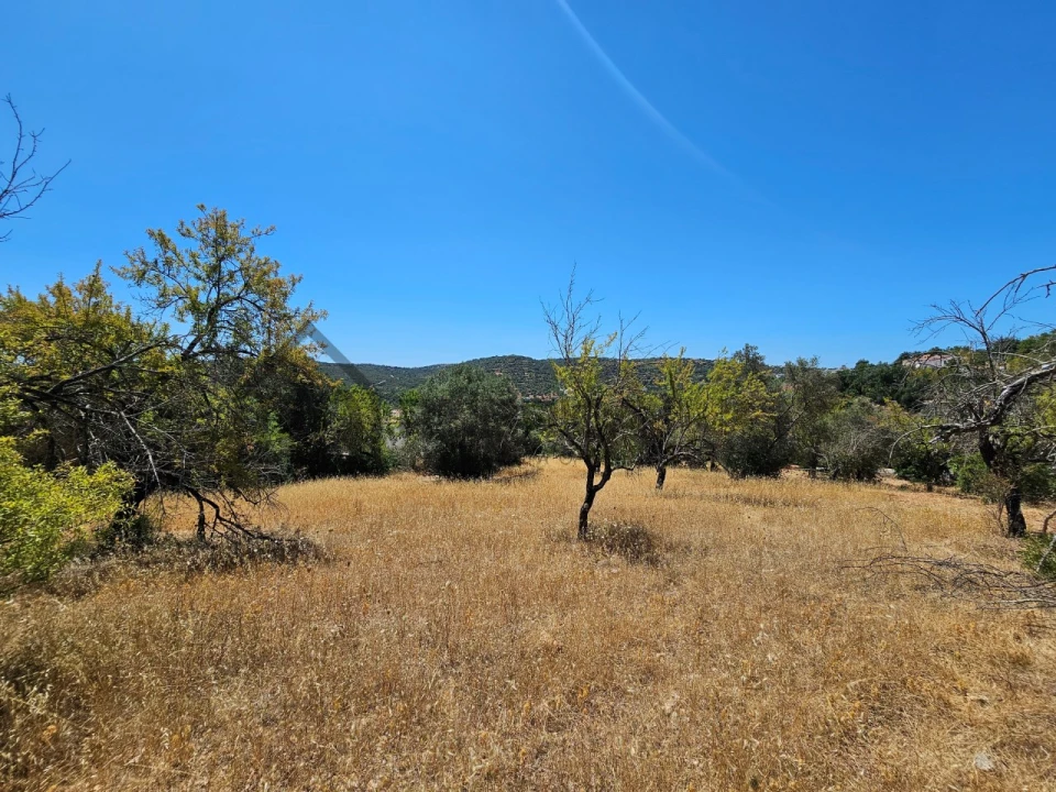 Terreno para Venda em Loule (São Sebastião) Foto 2