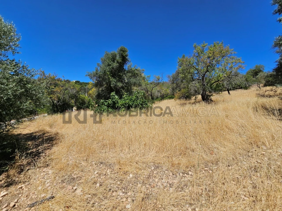 Terreno para Venda em Loule (São Sebastião) Foto 5