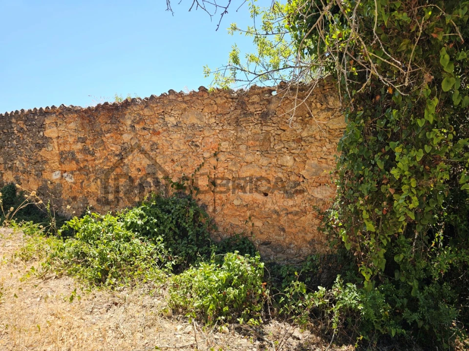 Terreno para Venda em Loule (São Sebastião) Foto 7