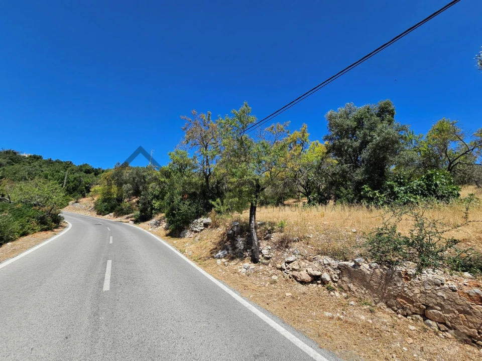 Terreno para Venda em Loule (São Sebastião) Foto 14