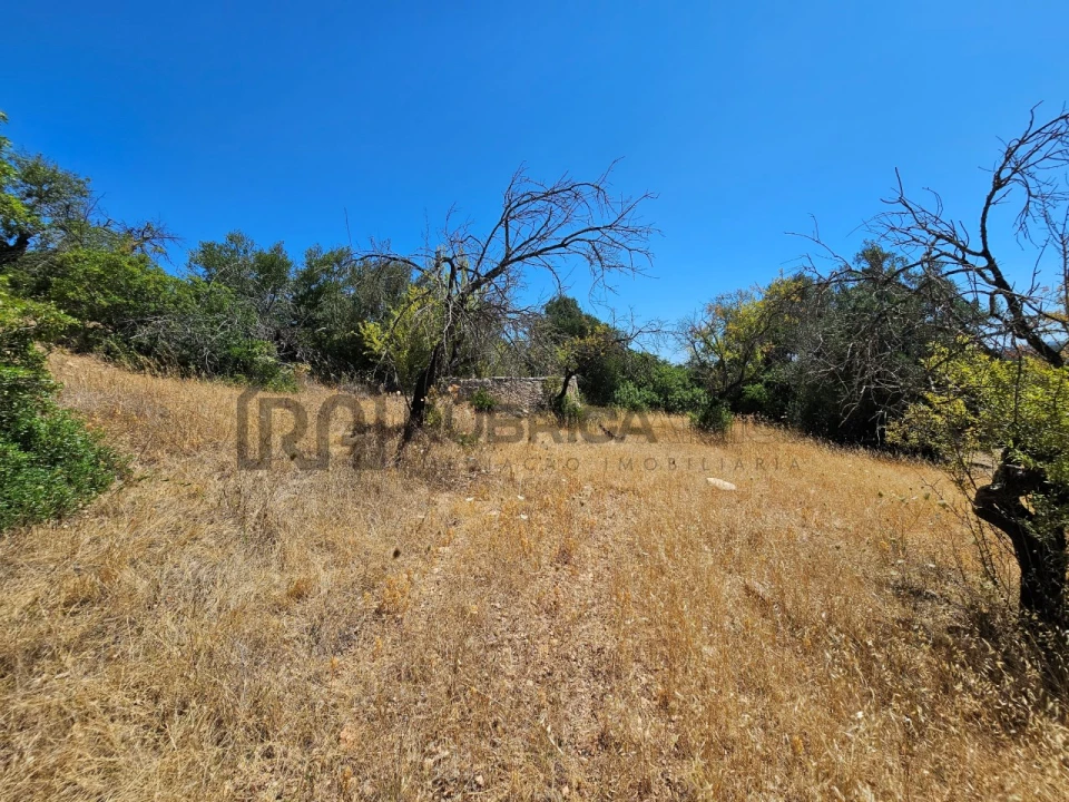 Terreno para Venda em Loule (São Sebastião) Foto 16