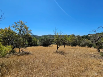Terreno para Venda em Loule (São Sebastião)