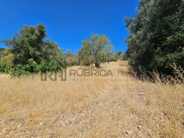 Terreno para Venda em Loule (São Sebastião)