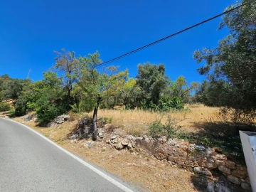 Terreno para Venda em Loule (São Sebastião)