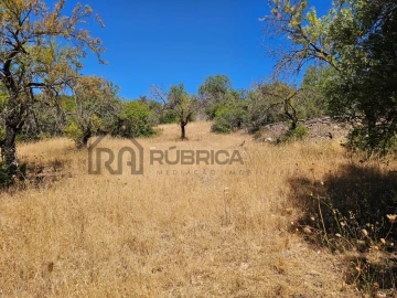 Terreno para Venda em Loule (São Sebastião)