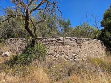 Terreno para Venda em Loule (São Sebastião)