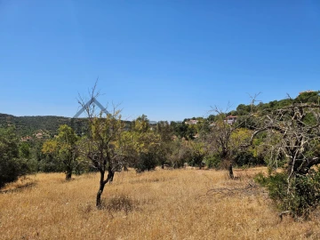 Terreno para Venda em Loule (São Sebastião)