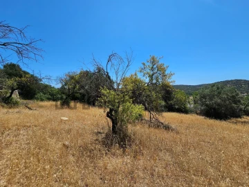 Terreno para Venda em Loule (São Sebastião)