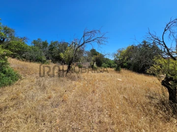 Terreno para Venda em Loule (São Sebastião)