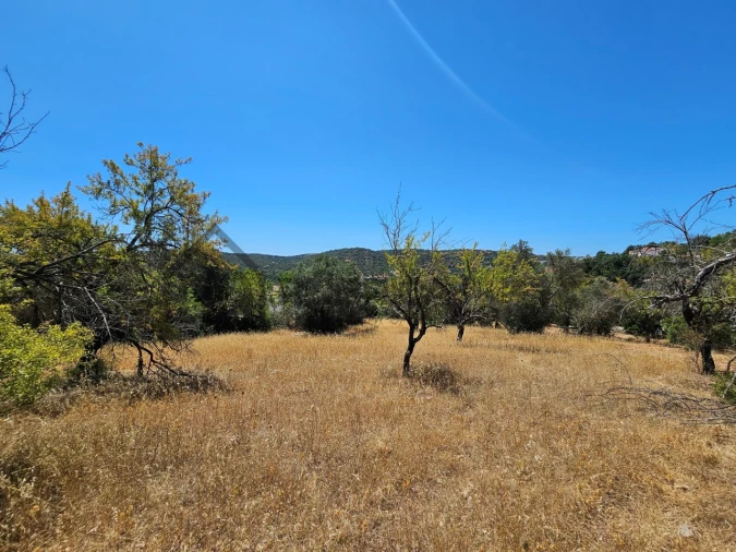 Terreno para Venda em Loule (São Sebastião) Foto 2