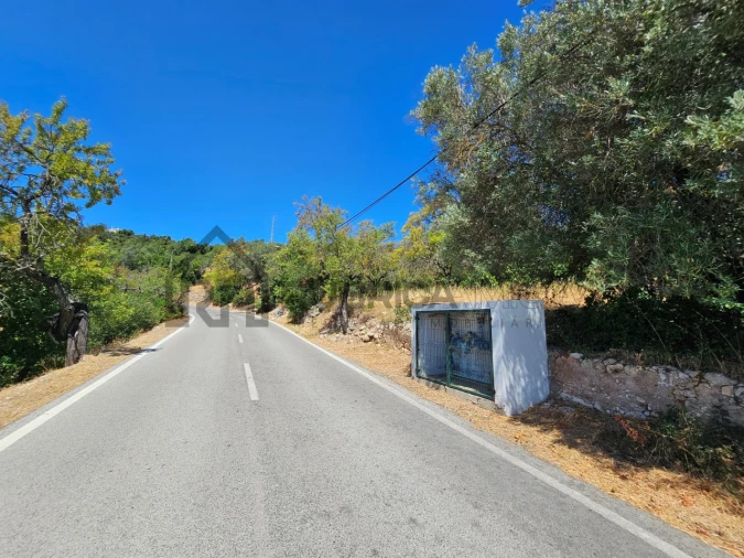 Terreno para Venda em Loule (São Sebastião) Foto 18