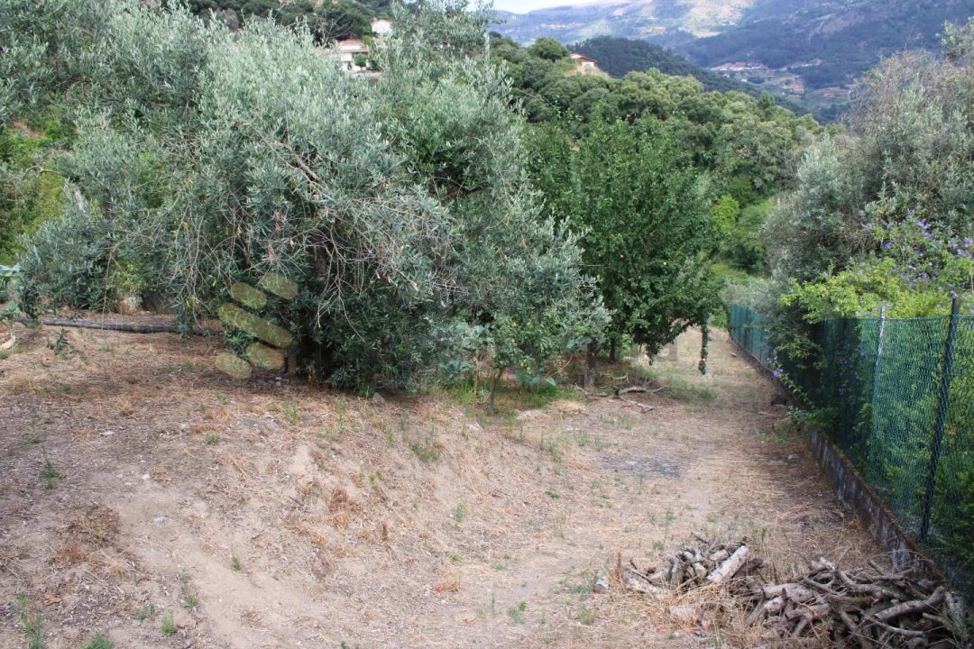 Moradia T4 para Venda em Frende Foto 50