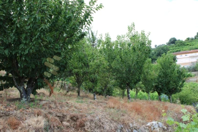 Moradia T4 para Venda em Frende