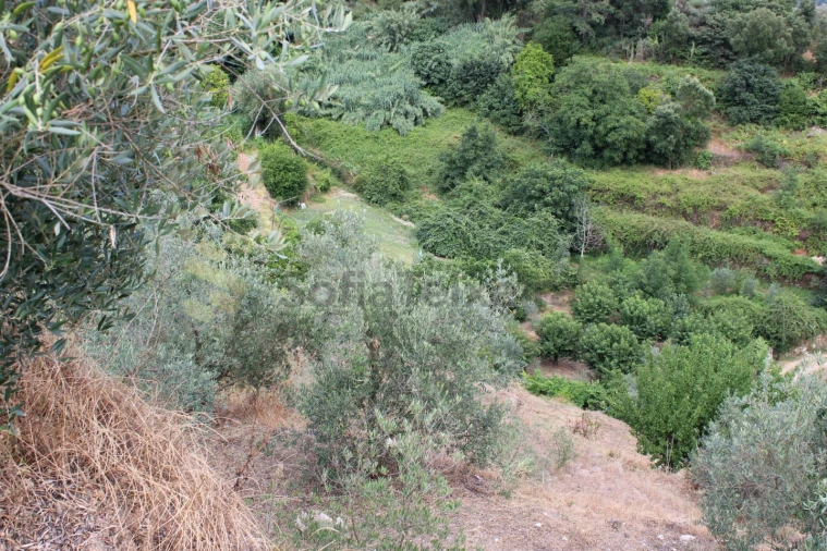 Moradia T4 para Venda em Frende Foto 46