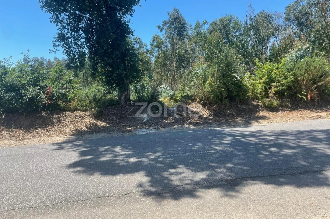 Terreno para Venda em Nogueira do Cravo e Pindelo Foto 14