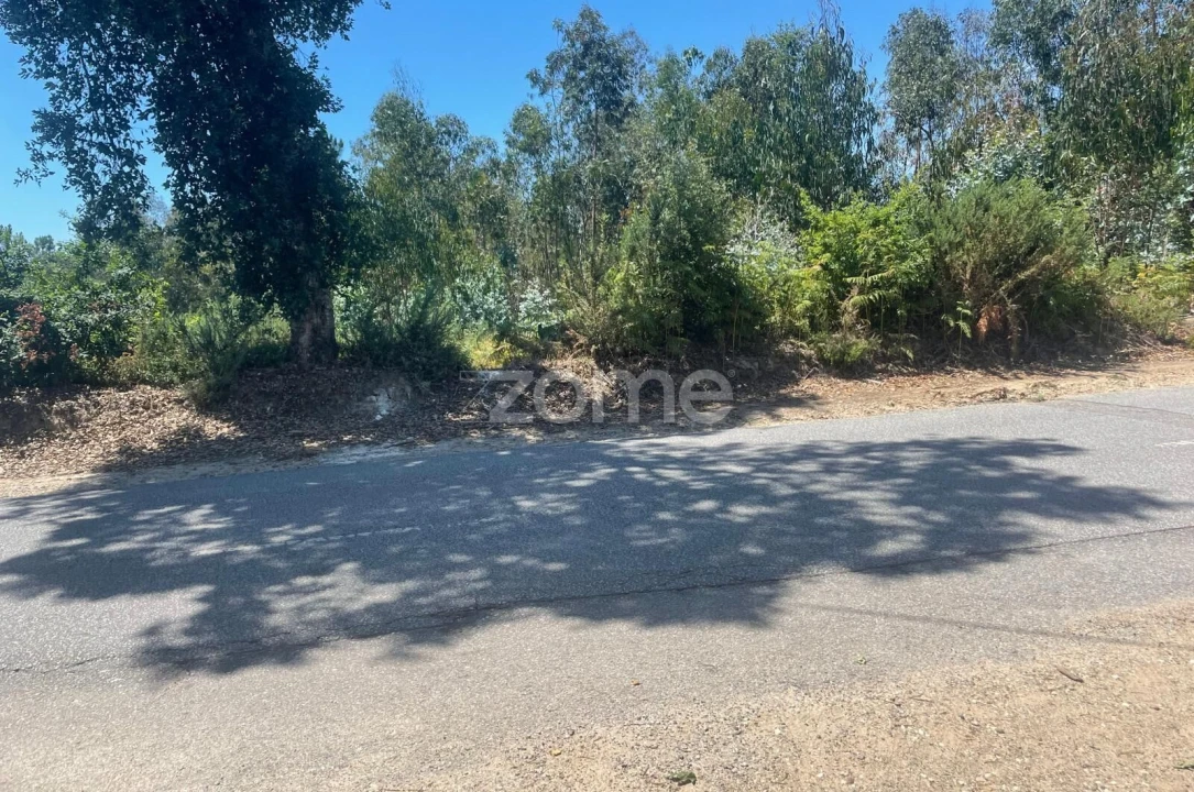 Terreno para Venda em Nogueira do Cravo e Pindelo Foto 1