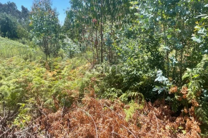 Terreno para Venda em Nogueira do Cravo e Pindelo