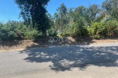 Terreno para Venda em Nogueira do Cravo e Pindelo