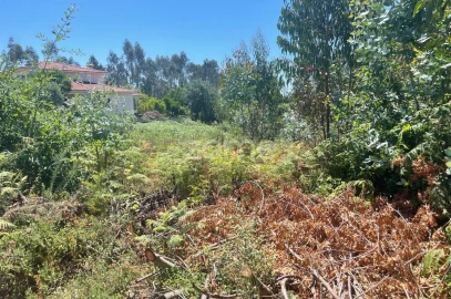Terreno para Venda em Nogueira do Cravo e Pindelo