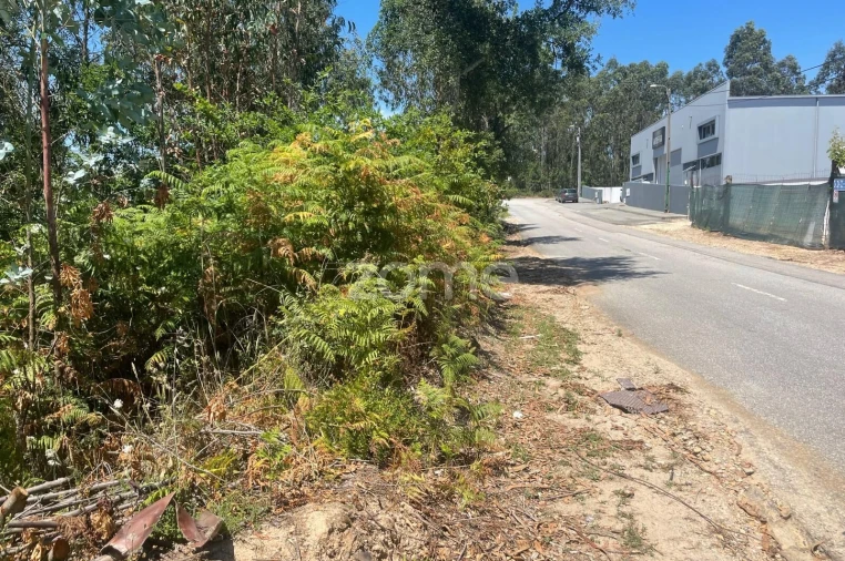 Terreno para Venda em Nogueira do Cravo e Pindelo Foto 2