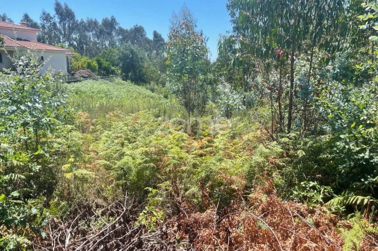 Terreno para Venda em Nogueira do Cravo e Pindelo Foto 6