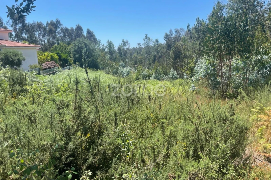 Terreno para Venda em Nogueira do Cravo e Pindelo Foto 4
