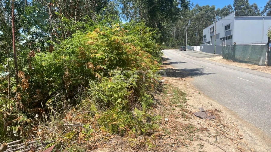 Terreno para Venda em Nogueira do Cravo e Pindelo