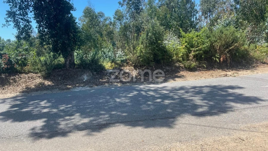 Terreno para Venda em Nogueira do Cravo e Pindelo