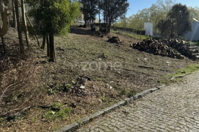 Terreno para Venda em Oliveira do Douro