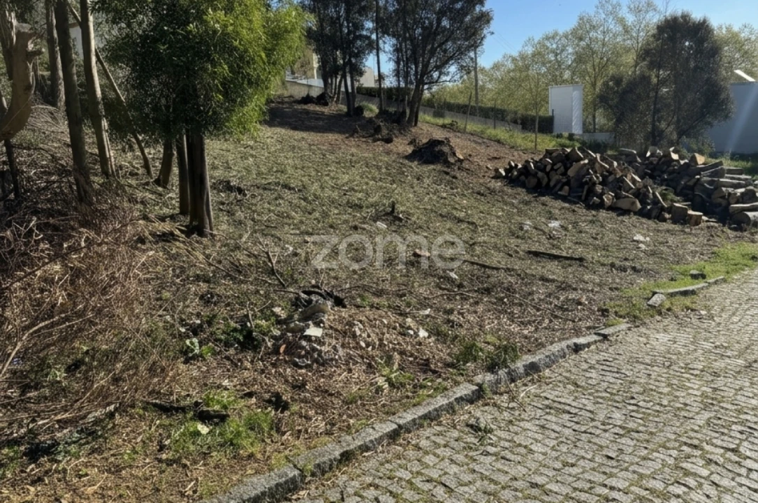 Terreno para Venda em Oliveira do Douro Foto 2