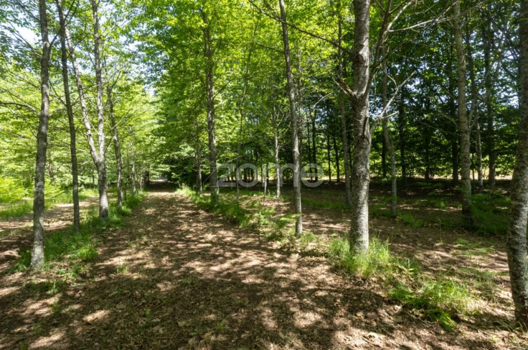 Moradia T5 para Venda em Arões (São Romão) Foto 56