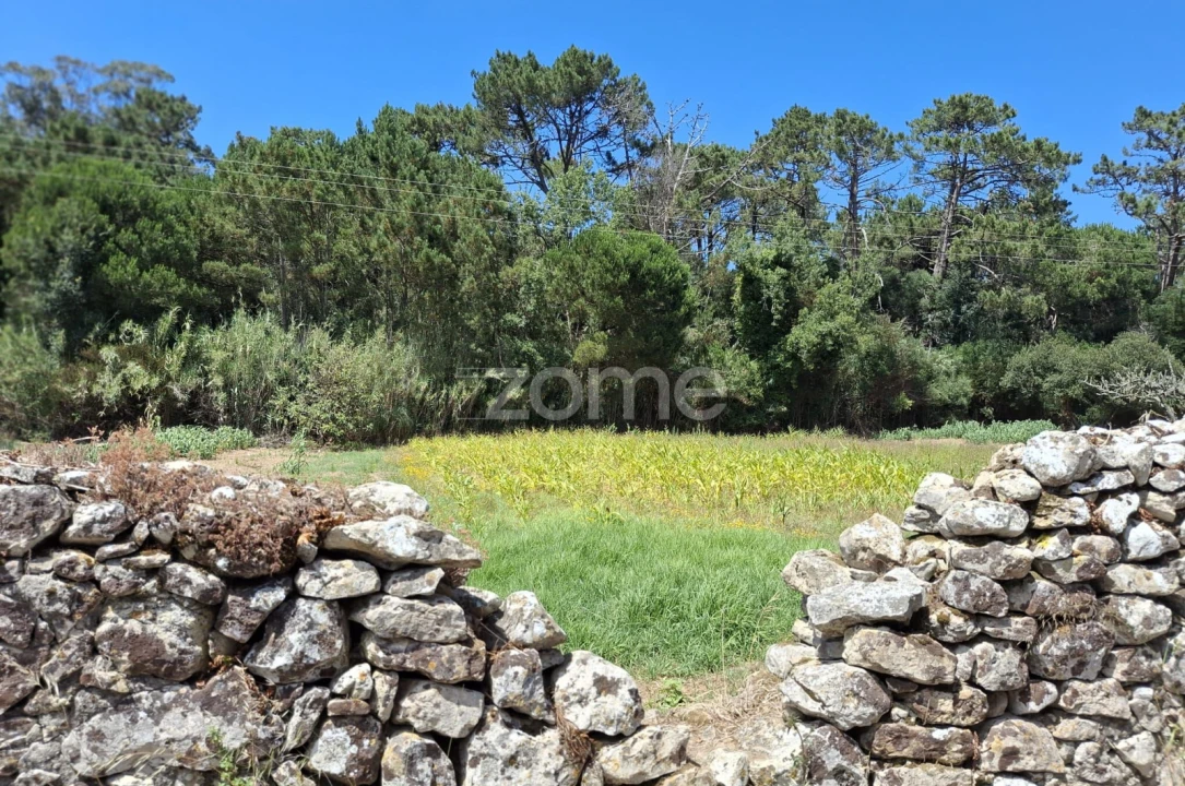 Terreno para Venda em Santa Maria e São Miguel, São Martinho, São Pedro Penaferrim Foto 12