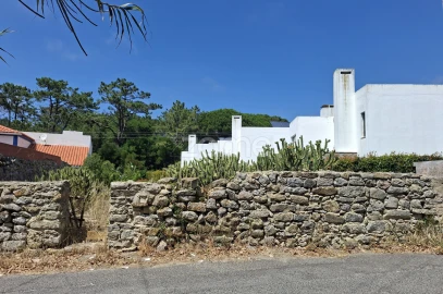 Terreno para Venda em Santa Maria e São Miguel, São Martinho, São Pedro Penaferrim