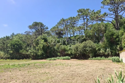 Terreno para Venda em Santa Maria e São Miguel, São Martinho, São Pedro Penaferrim