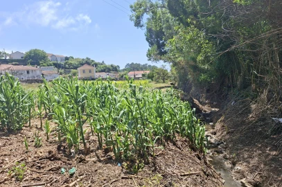 Terreno para Venda em Santa Maria e São Miguel, São Martinho, São Pedro Penaferrim