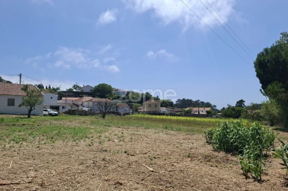 Terreno para Venda em Santa Maria e São Miguel, São Martinho, São Pedro Penaferrim