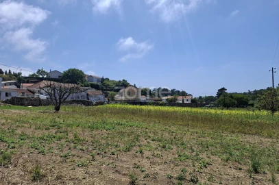 Terreno para Venda em Santa Maria e São Miguel, São Martinho, São Pedro Penaferrim