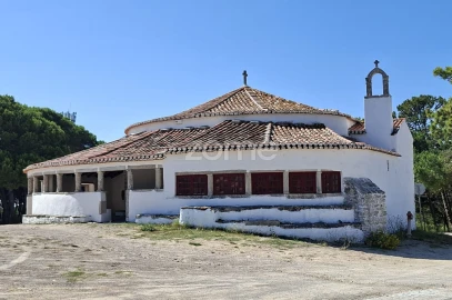 Terreno para Venda em Santa Maria e São Miguel, São Martinho, São Pedro Penaferrim
