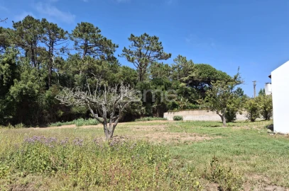 Terreno para Venda em Santa Maria e São Miguel, São Martinho, São Pedro Penaferrim