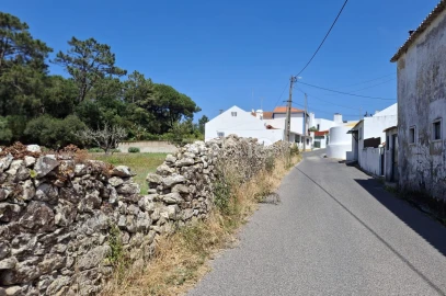 Terreno para Venda em Santa Maria e São Miguel, São Martinho, São Pedro Penaferrim